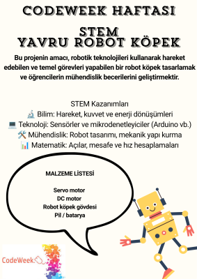 Codeweek Bilgilendirme Sunumu Oluşturma